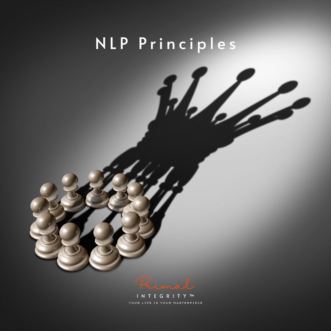 NLP Master Practitioner