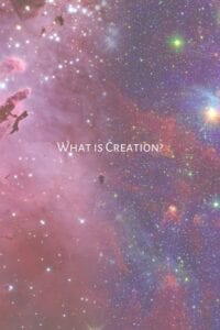 I love this quote below.  It sums up my thought for the day about creation.