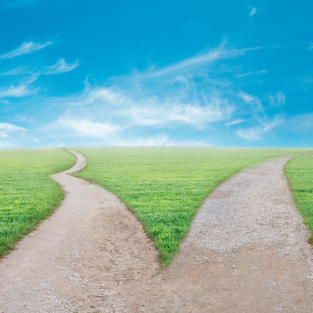Cognitive Dissonance And Success