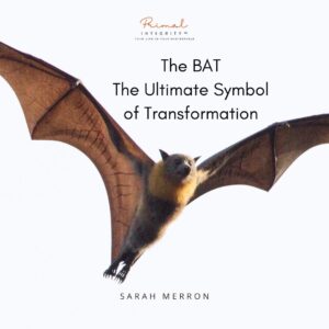 Bats Are Symbols of Transformation
