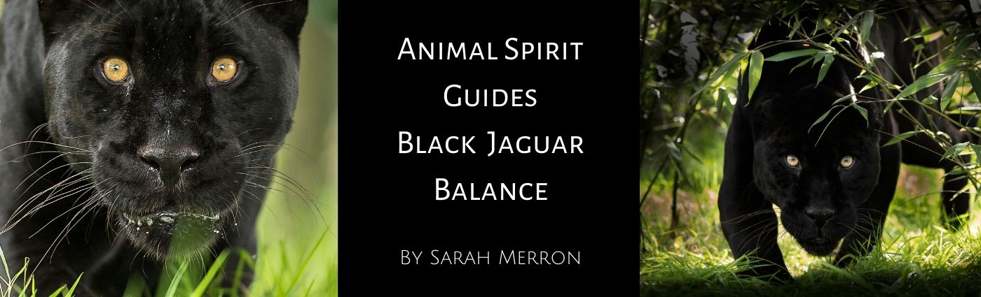 Animal Spirit Guides Black Jaguar