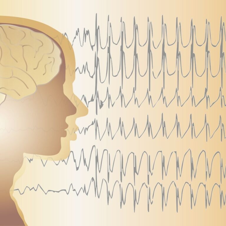 Brainwave Patterns 101 For NLP Students