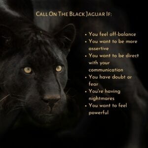 Animal Spirit Guides Black Jaguar