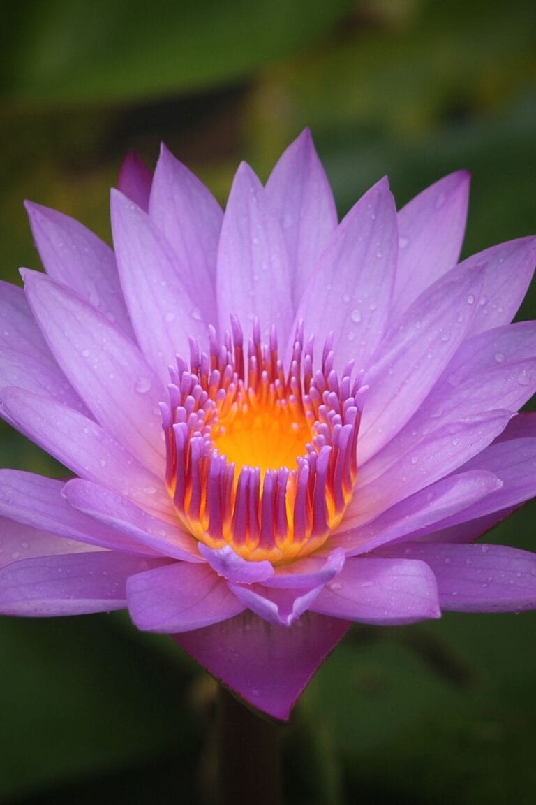 How To Find Peace And Shine Your Light