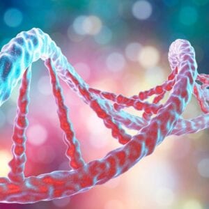 Relationship between epigenetics and trauma