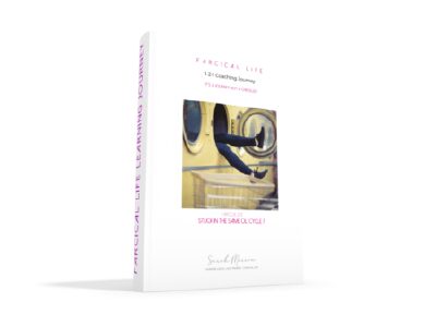 Farcical Life 1-2-1 Coaching Journey
