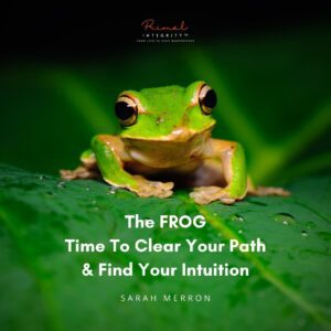 The Spiritual Symbolism of Frogs