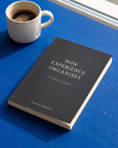 How Experience Organises Book Mock Up2