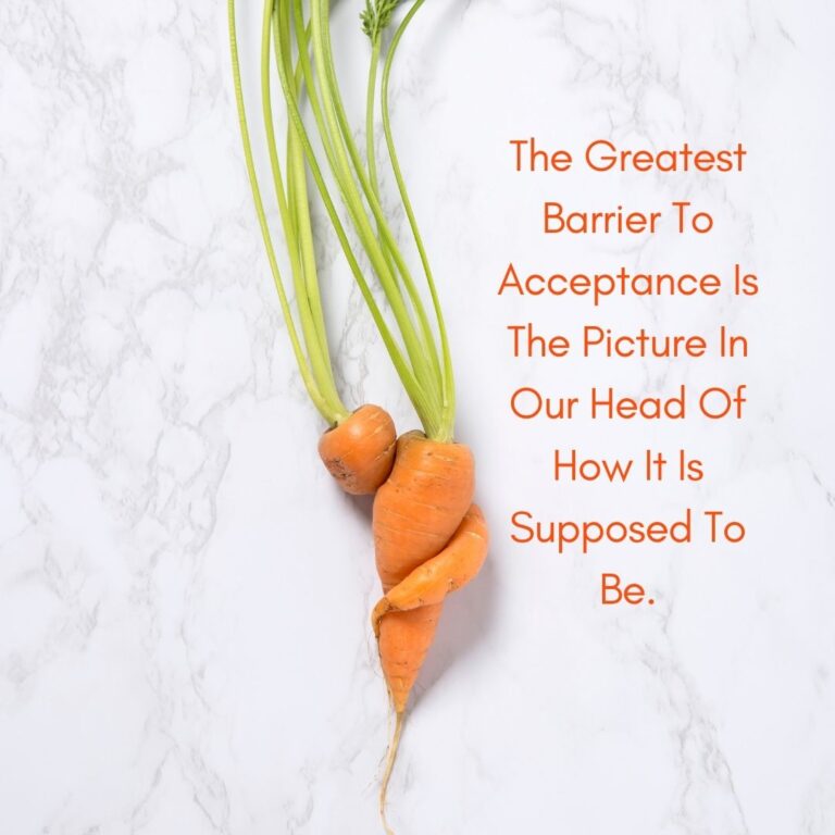 Choice Exists When Avoidance Does Not