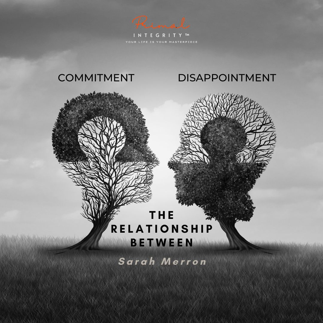 Relationship Between Commitment and Disappointment