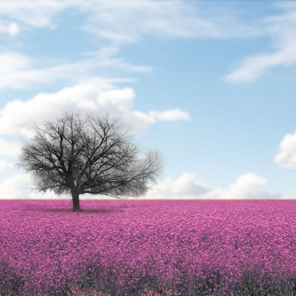 Loneliness