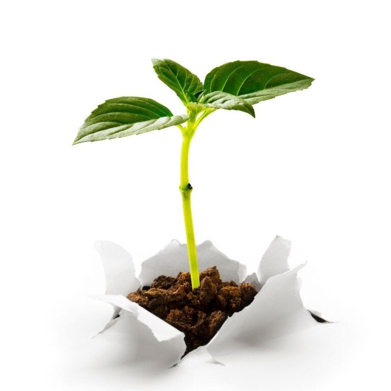 business start-up and entrepreneurship
