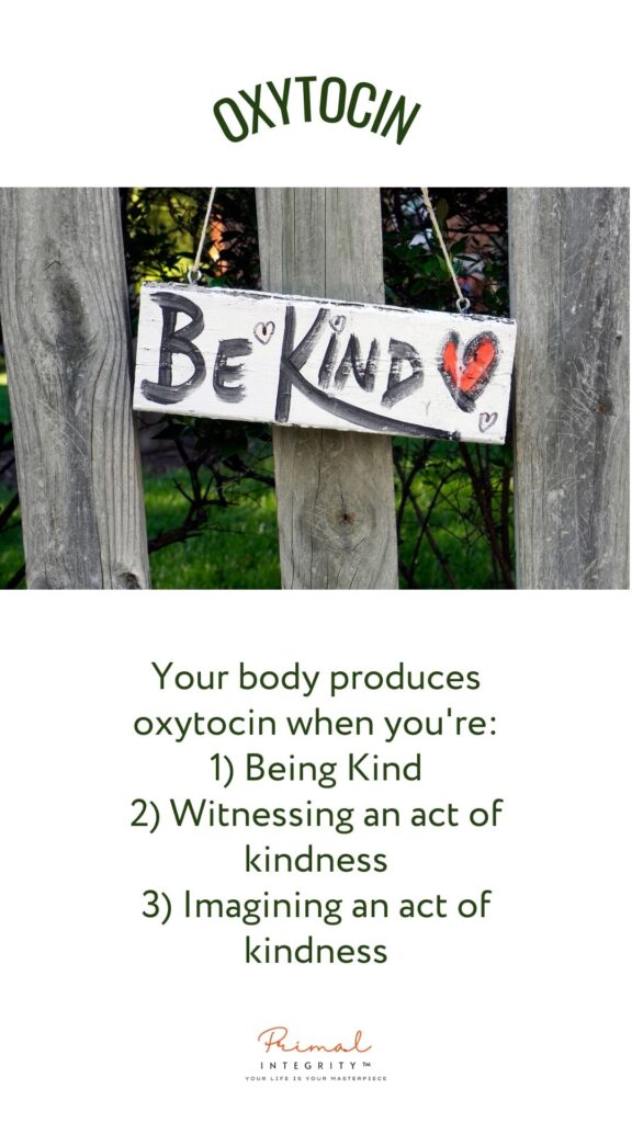 Oxytocin The Kindness Hormone