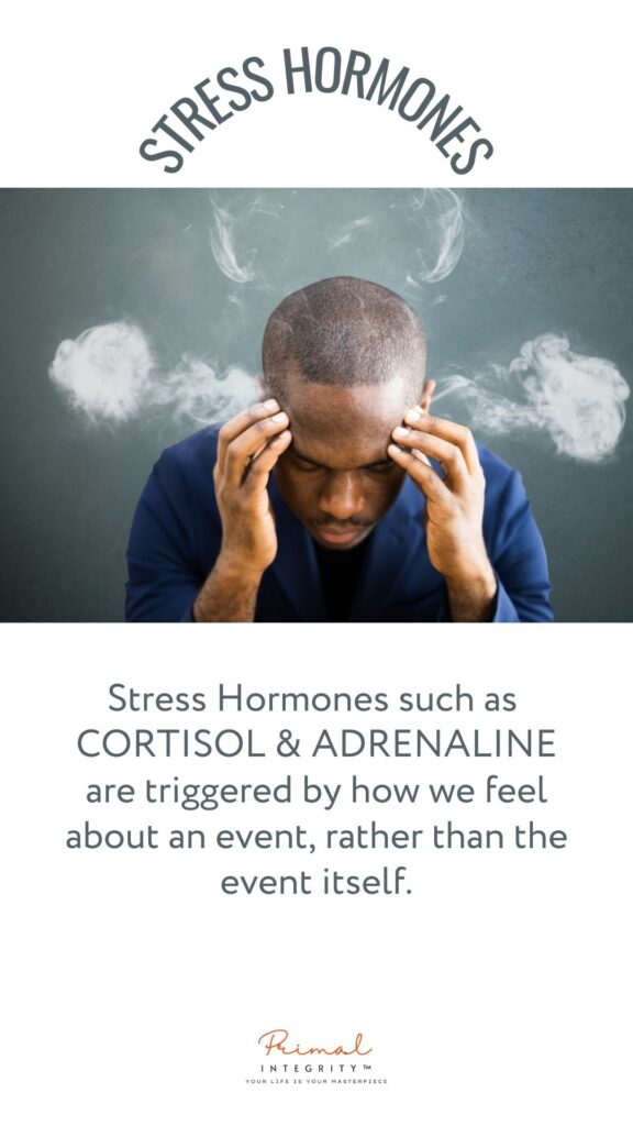 Oxytocin The Kindness Hormone