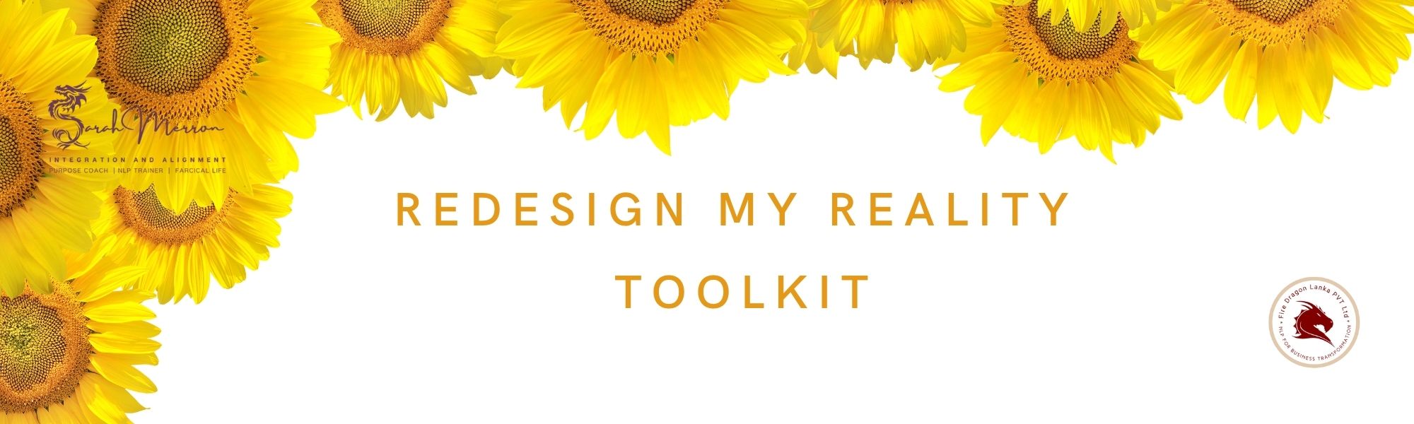 Redesign My Reality Toolkit