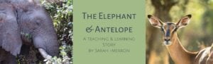 Learning Story - The Elephant And The Antelope