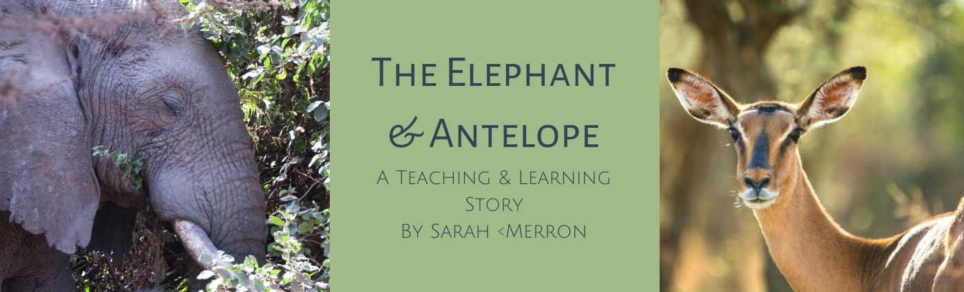 Learning Story - The Elephant And The Antelope