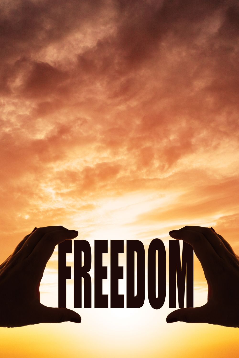 mind freedom work with me