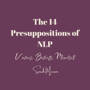 14 Presuppositions of NLP