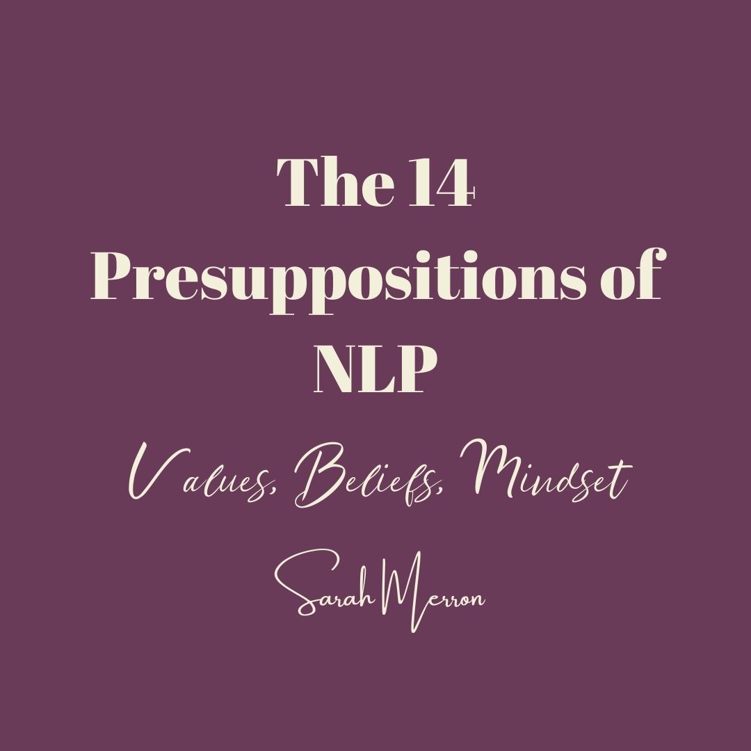 14 Presuppositions of NLP